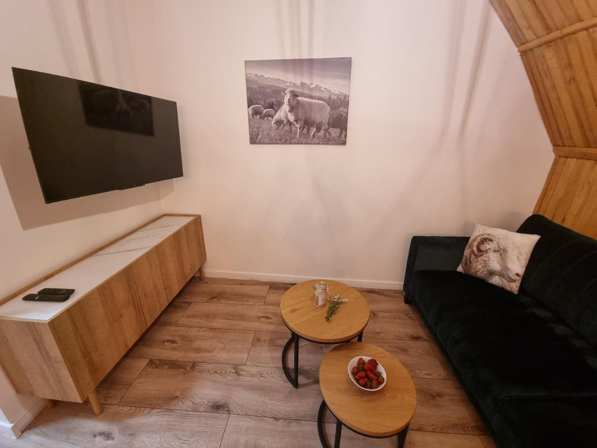 Apartament Klasyczny Z Widokiem Na Giewont Kościelisko Dış mekan fotoğraf