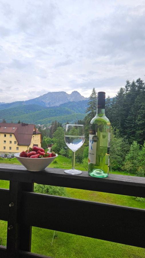 Apartament Klasyczny Z Widokiem Na Giewont Kościelisko Dış mekan fotoğraf
